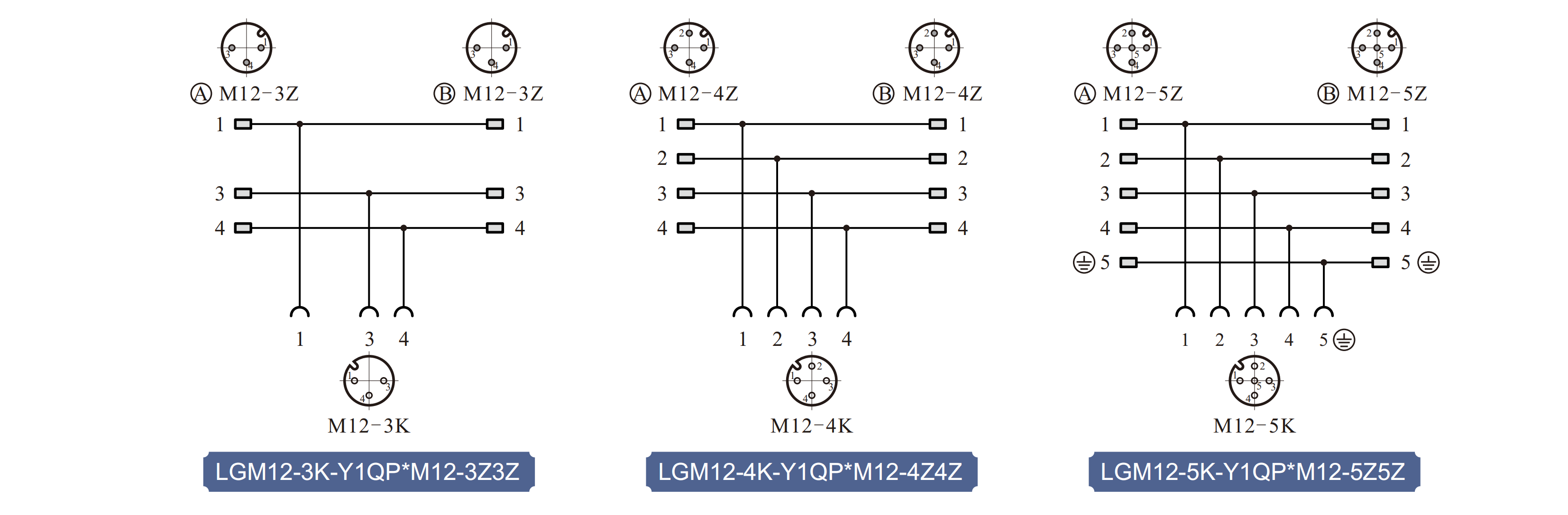 LGM12-5K-Y1QPxM12-5Z5Z_02.png